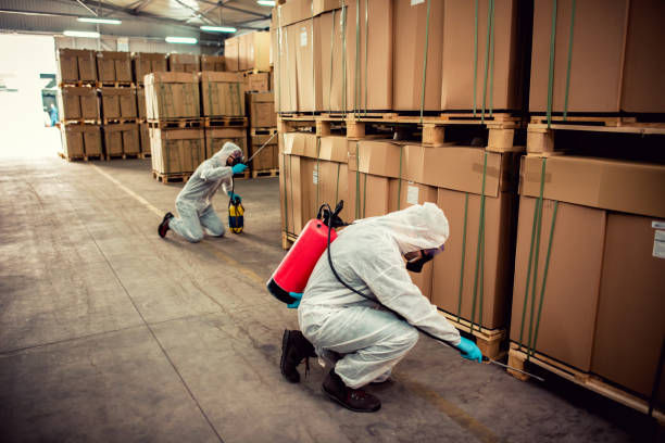 Best Pest Inspection Near Me  in Beacon Hill, WA