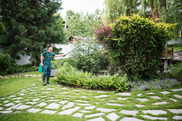 Best Pest Control for Homes  in Beacon Hill, WA