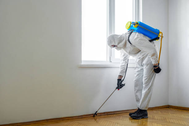 Best Insect Control  in Beacon Hill, WA
