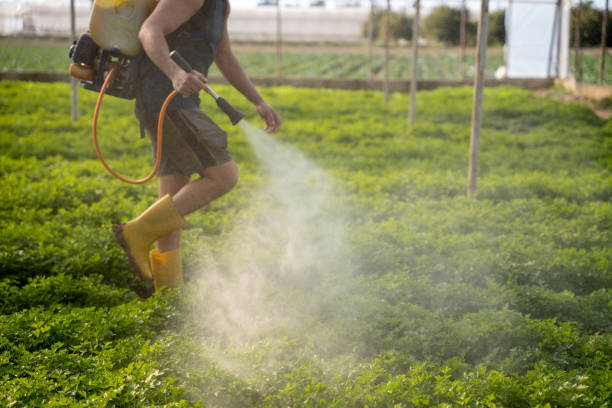 Best Pest Prevention Services  in Beacon Hill, WA