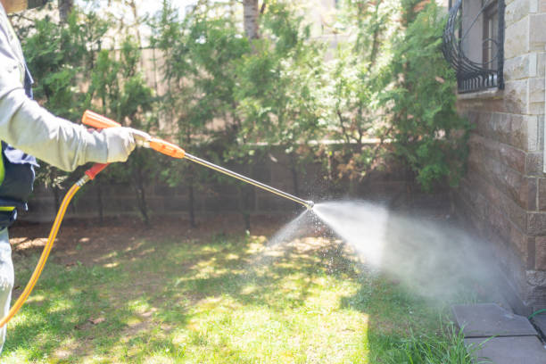 Pest Control Cost in Beacon Hill, WA
