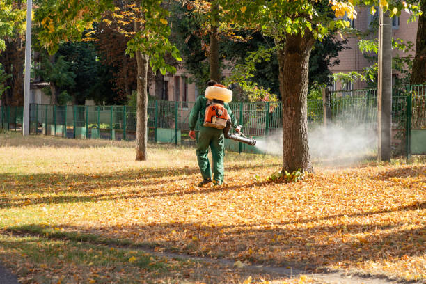 Best Commercial Pest Control Services  in Beacon Hill, WA