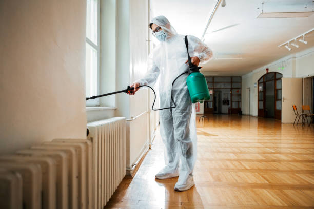 Best Mosquito Control Services  in Beacon Hill, WA